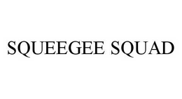 SQUEEGEE SQUAD trademark