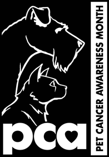 PET CANCER AWARENESS MONTH PCA trademark