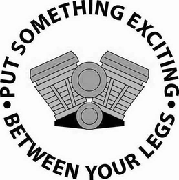 PUT SOMETHING EXCITING BETWEEN YOUR LEGS trademark