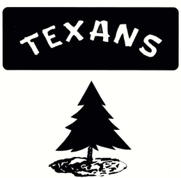 TEXANS trademark