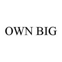 OWN BIG trademark