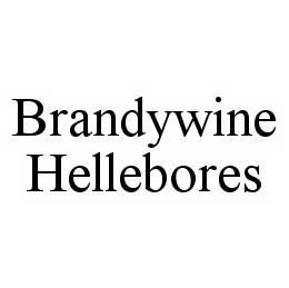 BRANDYWINE HELLEBORES trademark