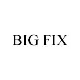 BIG FIX trademark