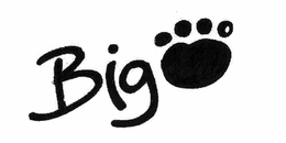 BIG trademark