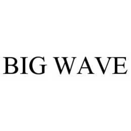 BIG WAVE trademark