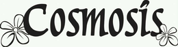 COSMOSIS trademark