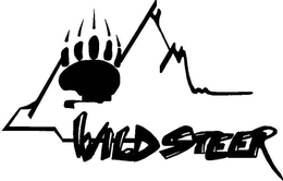 WILDSTEER trademark