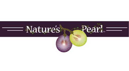NATURE'S PEARL trademark