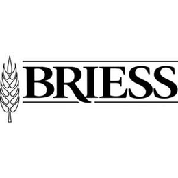 BRIESS trademark