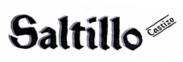 SALTILLO CASTIZO trademark