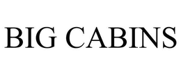 BIG CABINS trademark