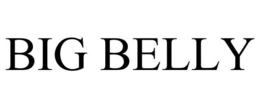 BIG BELLY trademark