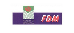 FDM FLORES DE LA MONTAÑA S.A. trademark