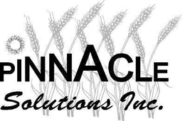 PINNACLE SOLUTIONS INC. trademark