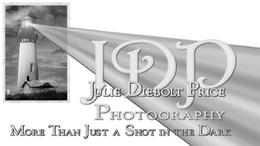 JDP JULIE DIEBOLT PRICE PHOTOGRAPHY MORE THAN JUST A SHOT IN THE DARK trademark