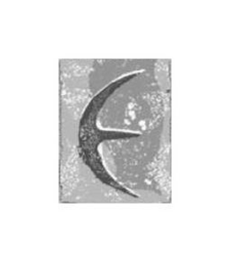 E trademark