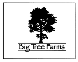 BIG TREE FARMS trademark