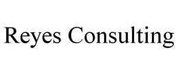 REYES CONSULTING trademark