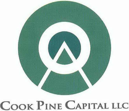 COOK PINE CAPITAL LLC trademark
