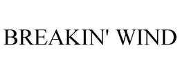 BREAKIN' WIND trademark