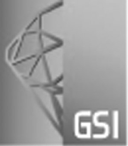 GSI trademark