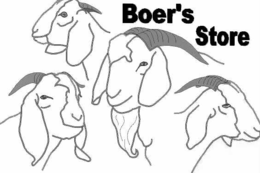 BOER'S STORE trademark