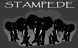 STAMPEDE trademark