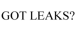 GOT LEAKS? trademark