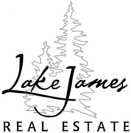 LAKE JAMES REAL ESTATE trademark