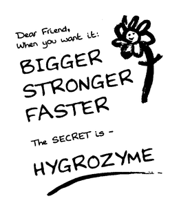 DEAR FRIEND, WHEN YOU WANT IT: BIGGER STRONGER FASTER THE SECRET IS - HYGROZYME trademark