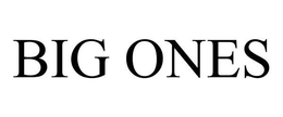 BIG ONES trademark