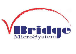VBRIDGE MICROSYSTEM trademark
