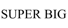 SUPER BIG trademark