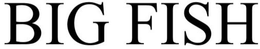 BIG FISH trademark