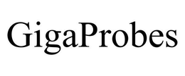 GIGAPROBES trademark