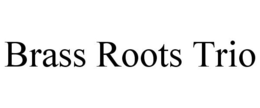 BRASS ROOTS TRIO trademark