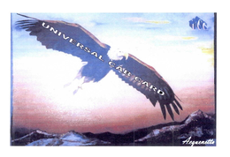 UNIVERSAL CAB CARD UCC ACQUENETTA trademark