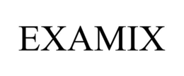 EXAMIX trademark