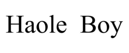 HAOLE BOY trademark