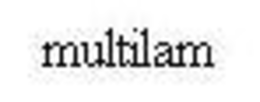 MULTILAM trademark