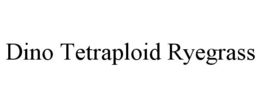 DINO TETRAPLOID RYEGRASS trademark
