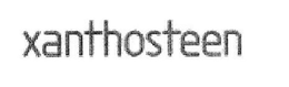 XANTHOSTEEN trademark