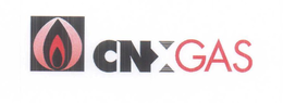 CNX GAS trademark
