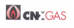 CNX GAS trademark