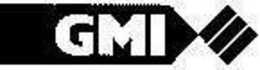 GMI trademark
