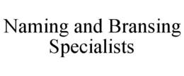 NAMING AND BRANSING SPECIALISTS trademark