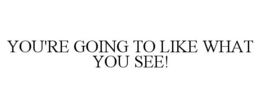 YOU'RE GOING TO LIKE WHAT YOU SEE! trademark