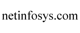 NETINFOSYS.COM trademark