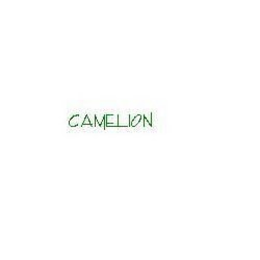 CAMELION trademark