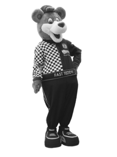 FAST TEDDY 13 trademark